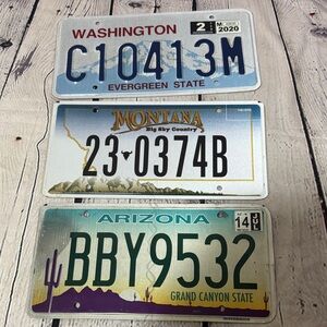 Set of 3 different state License Plate Trio for decor, upcycle, crafting & more